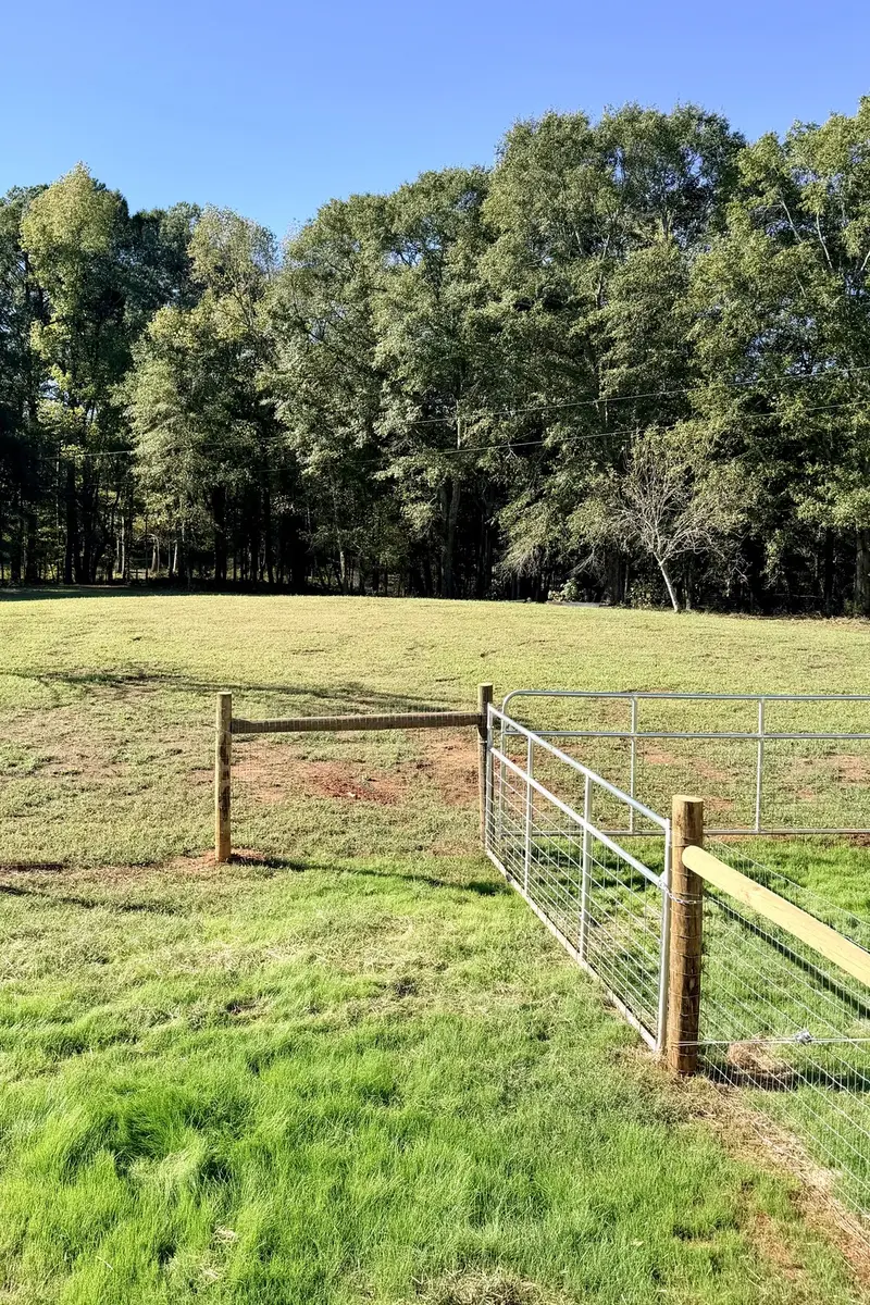 Our empty fenced pasture in Georgia with a wire gate and pine trees