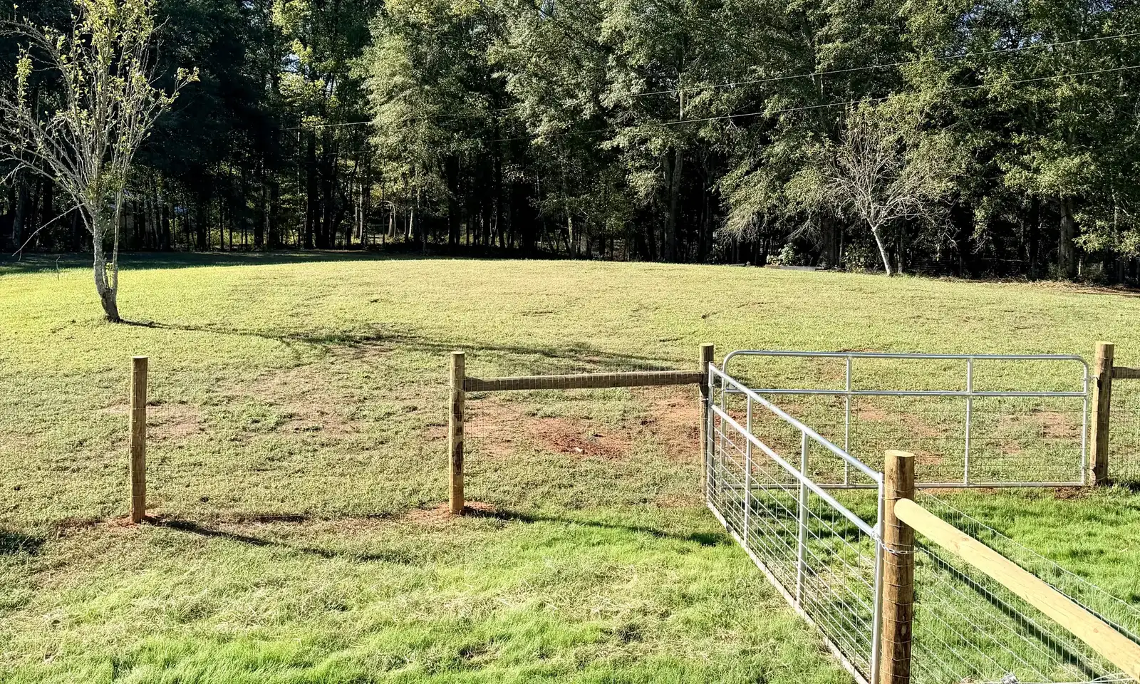 Our fenced Georgia pasture with green grass, a wire gate, and tall pines behind it