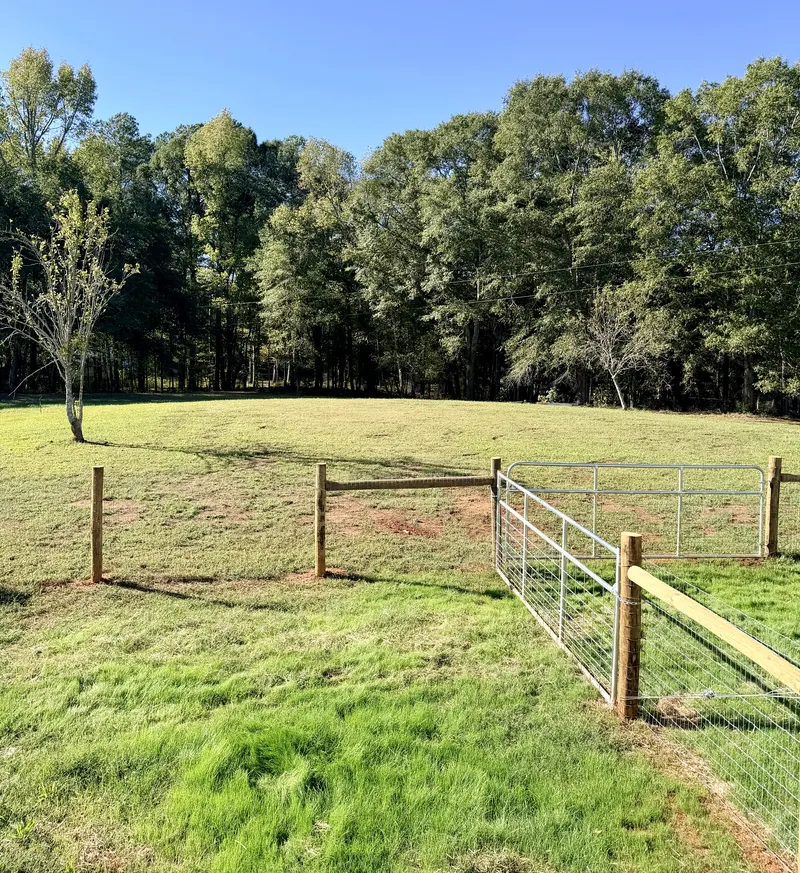 Our fenced pasture in Georgia on a sunny morning
